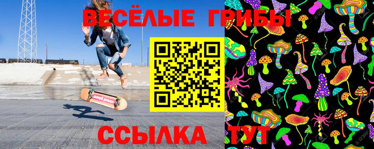 Галлюциногенные грибы мухоморы Дедовск
