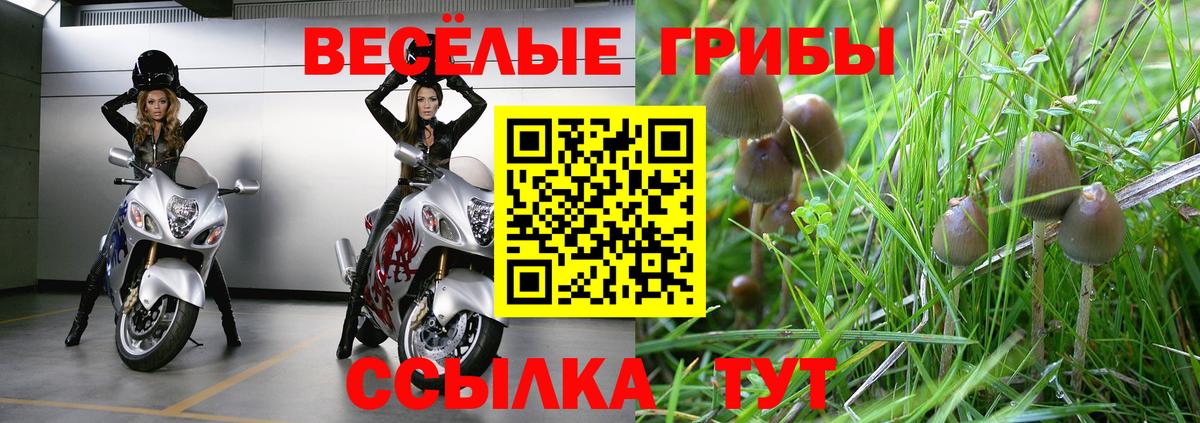 Дедовск  Галлюциногенные грибы мицелий  Вход с VPN  Галлюциногенные грибы GOLDEN TEACHER 